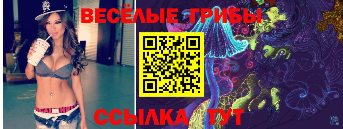 Галлюциногенные грибы Psilocybine cubensis Вязьма