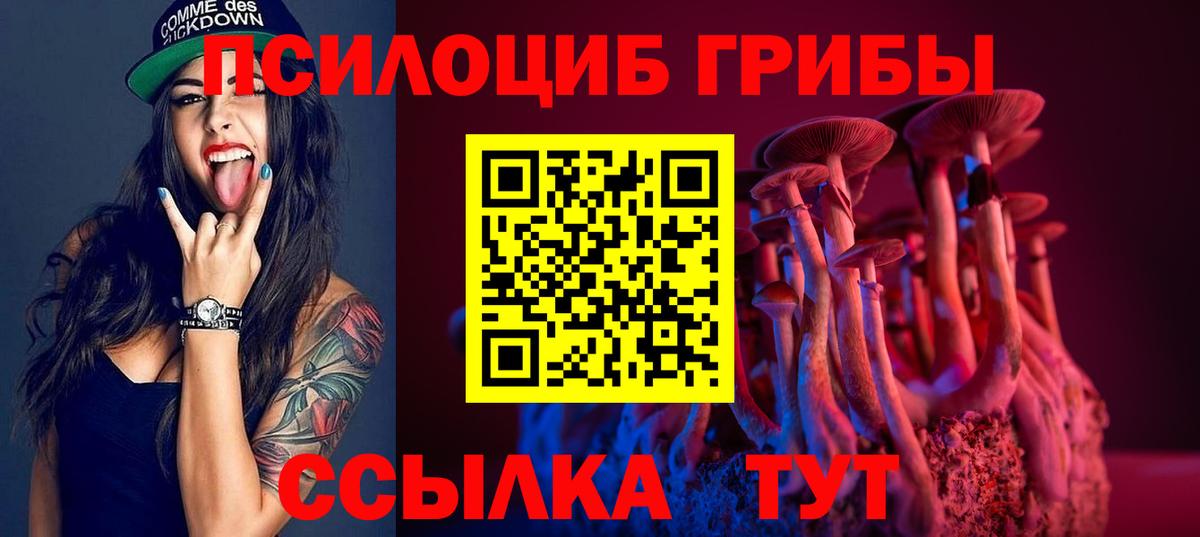 Псилоцибиновые грибы Cubensis  Вход с VPN  Вязьма 